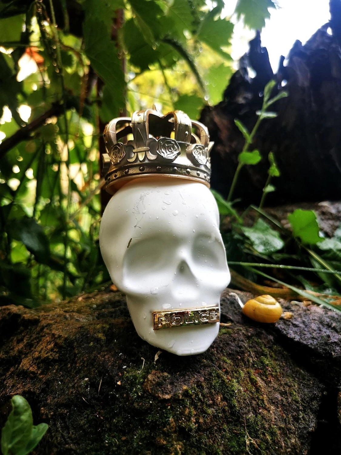 Police To Be Born To Shine Woman