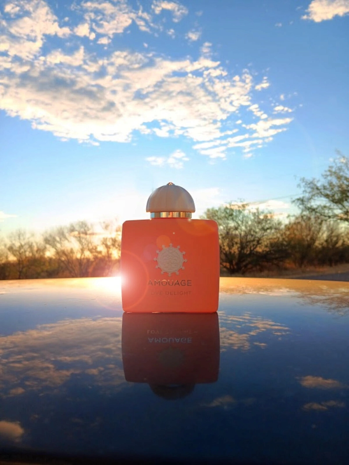 Amouage Love Delight