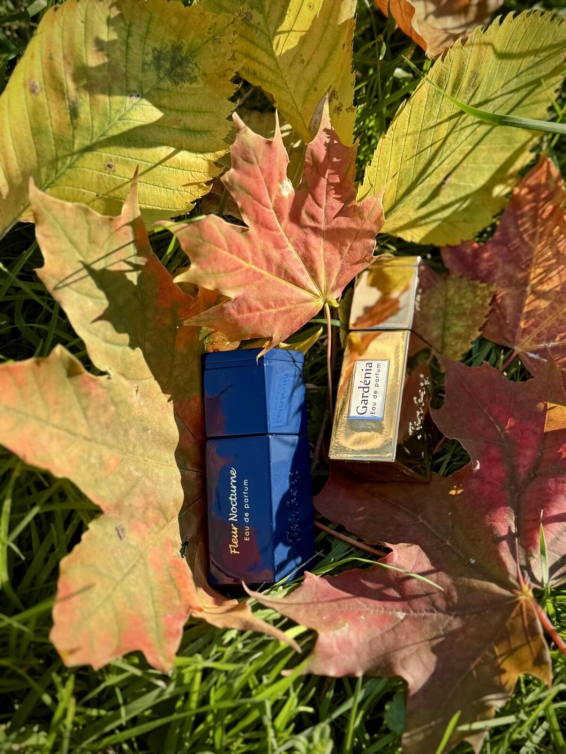 Panouge Isabey Gardenia