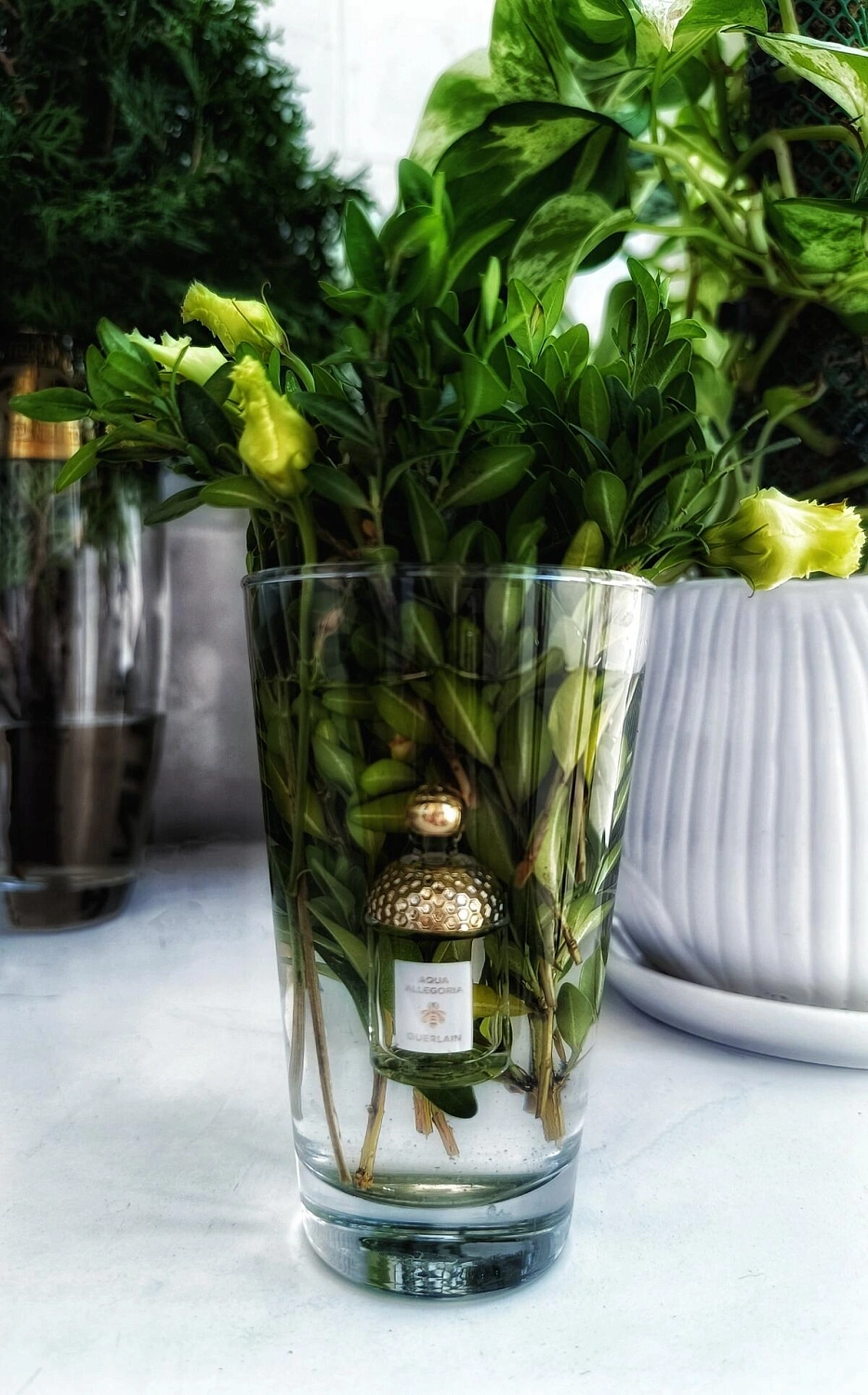 Guerlain Aqua Allegoria Mandarine Basilic