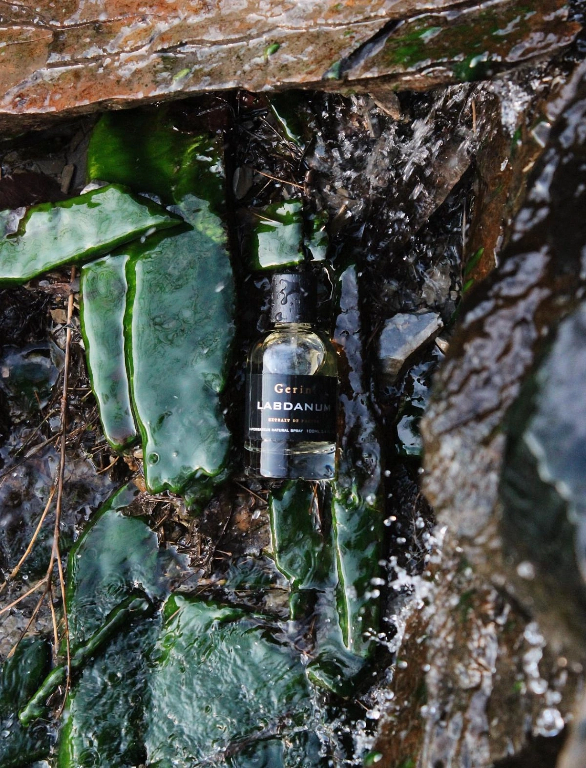Gerini Labdanum