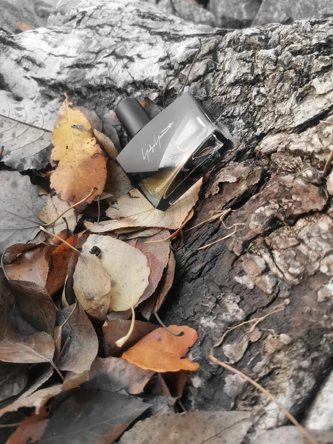 Yohji Yamamoto I'm Not Going to Disturb You Homme