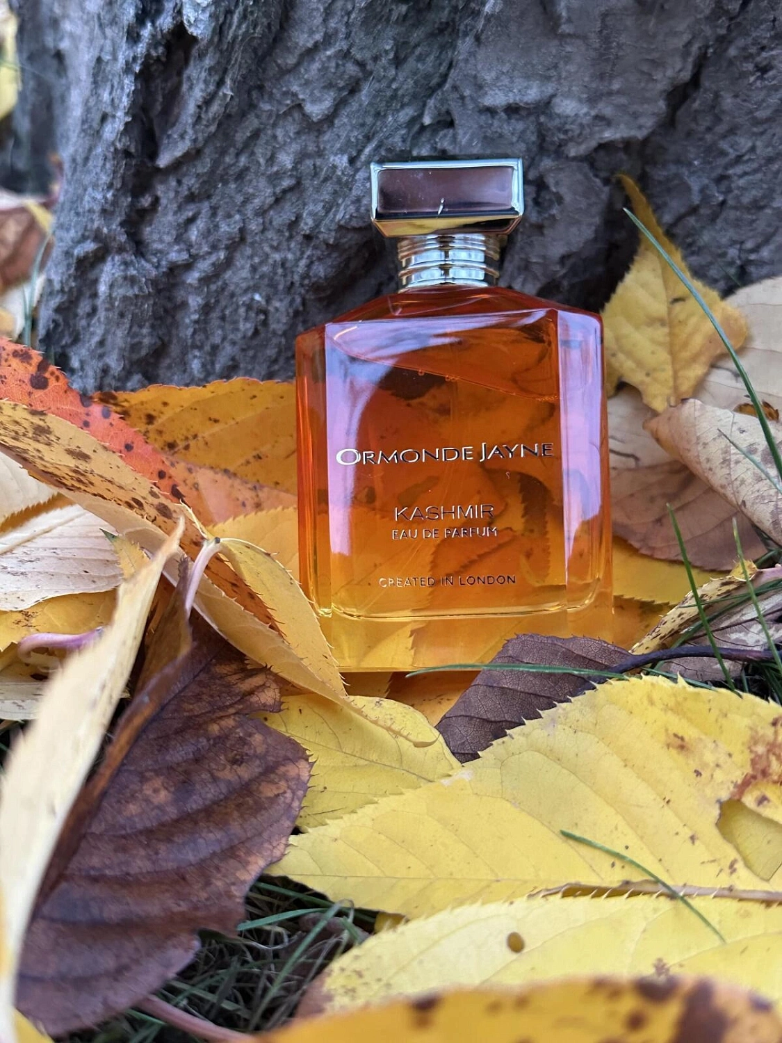 Ormonde Jayne Kashmir