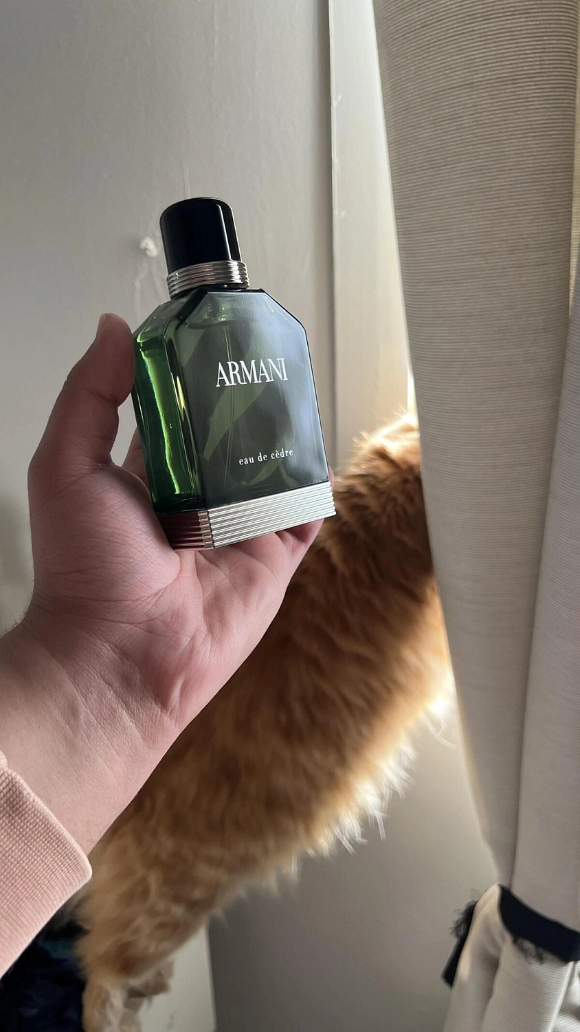 Armani Eau de Cedre