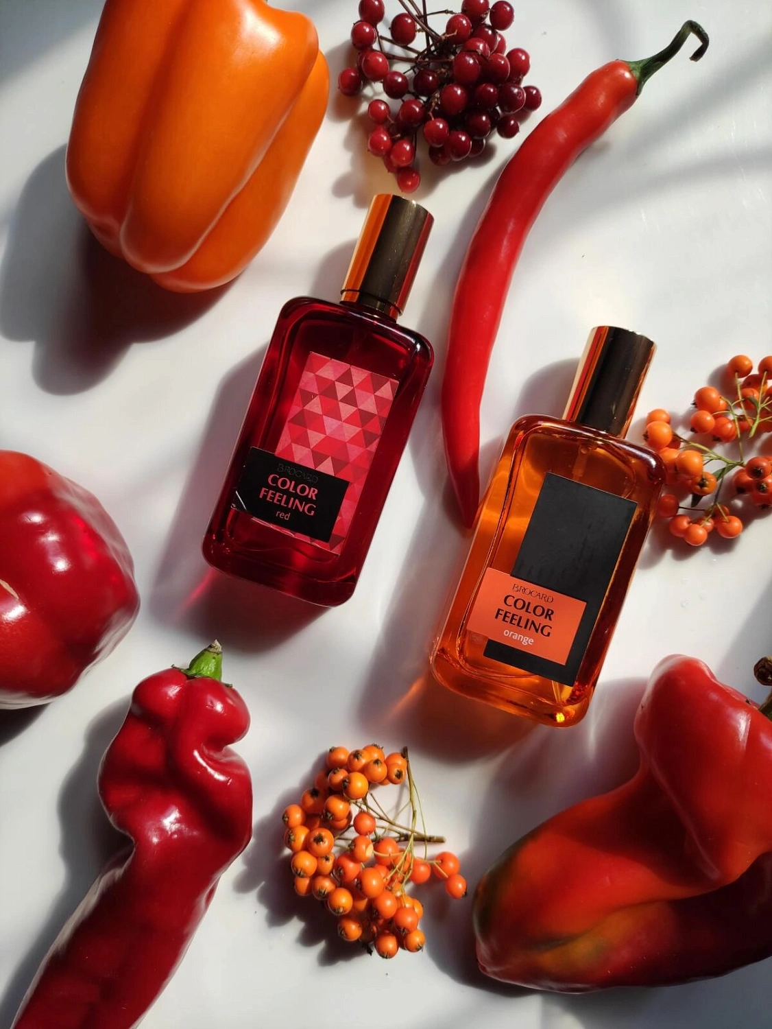 Brocard Color Feeling Orange