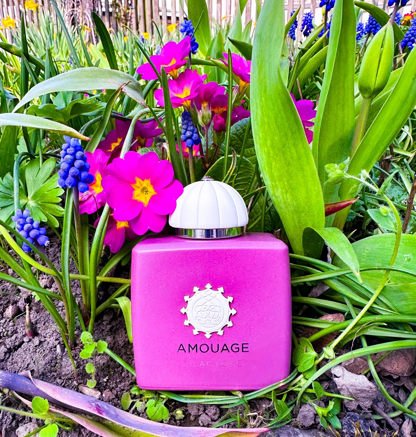 Amouage Lilac Love