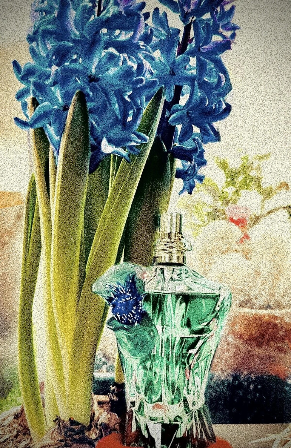 Jean Paul Gaultier Le Beau Flower Edition Jean Paul Gaultier Le Beau Flower Edition
