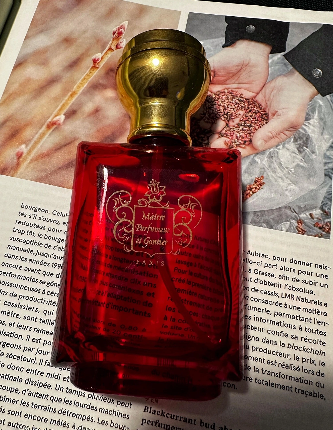 Maître Parfumeur et Gantier Route du Vetiver