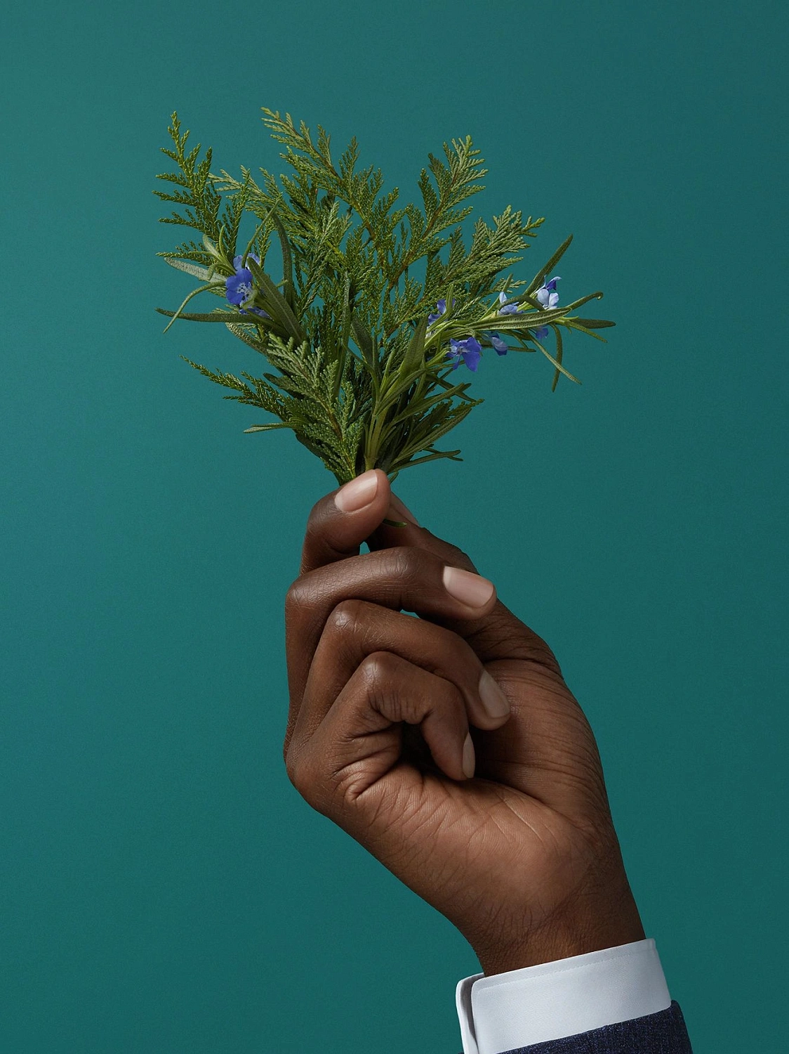 Ermenegildo Zegna Roman Wood