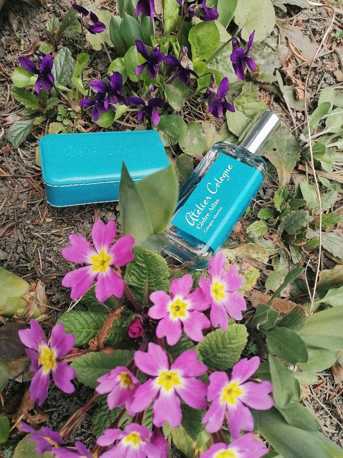 Atelier Cologne Cedre Atlas