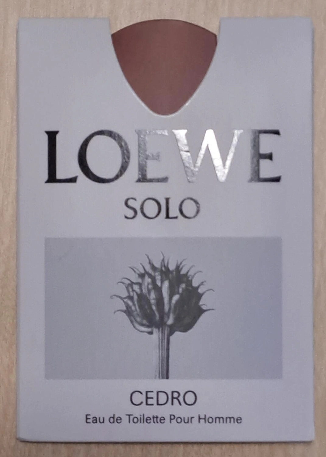 Solo Loewe Cedro Solo Loewe Cedro