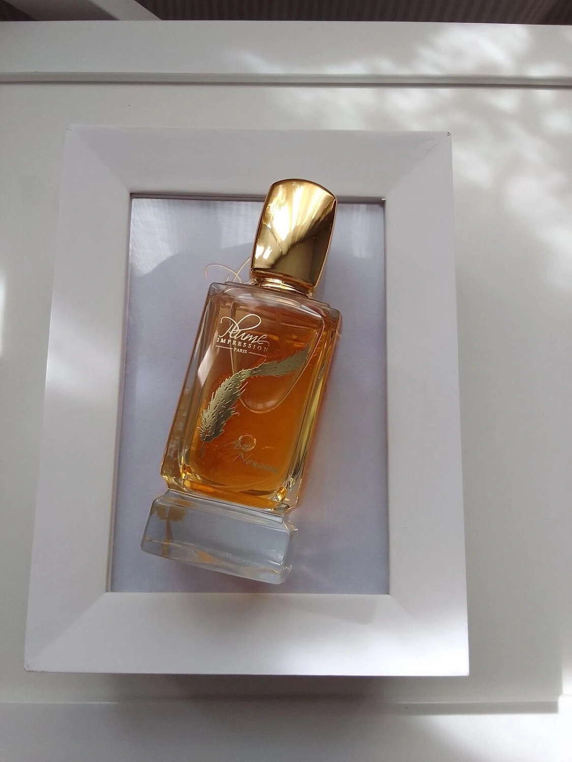 Plume Impression Art Nouveau