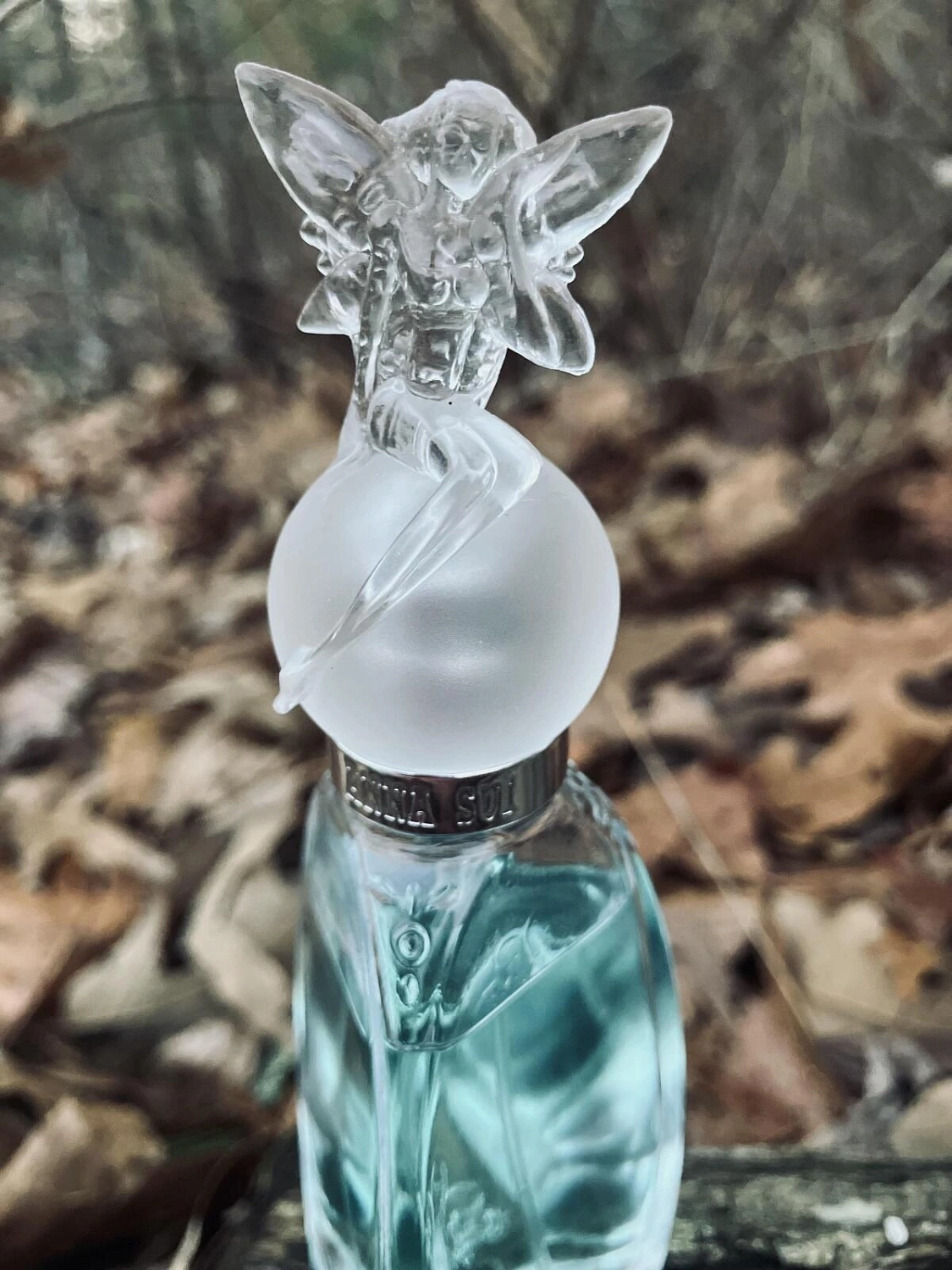 ANNA SUI Secret Wish