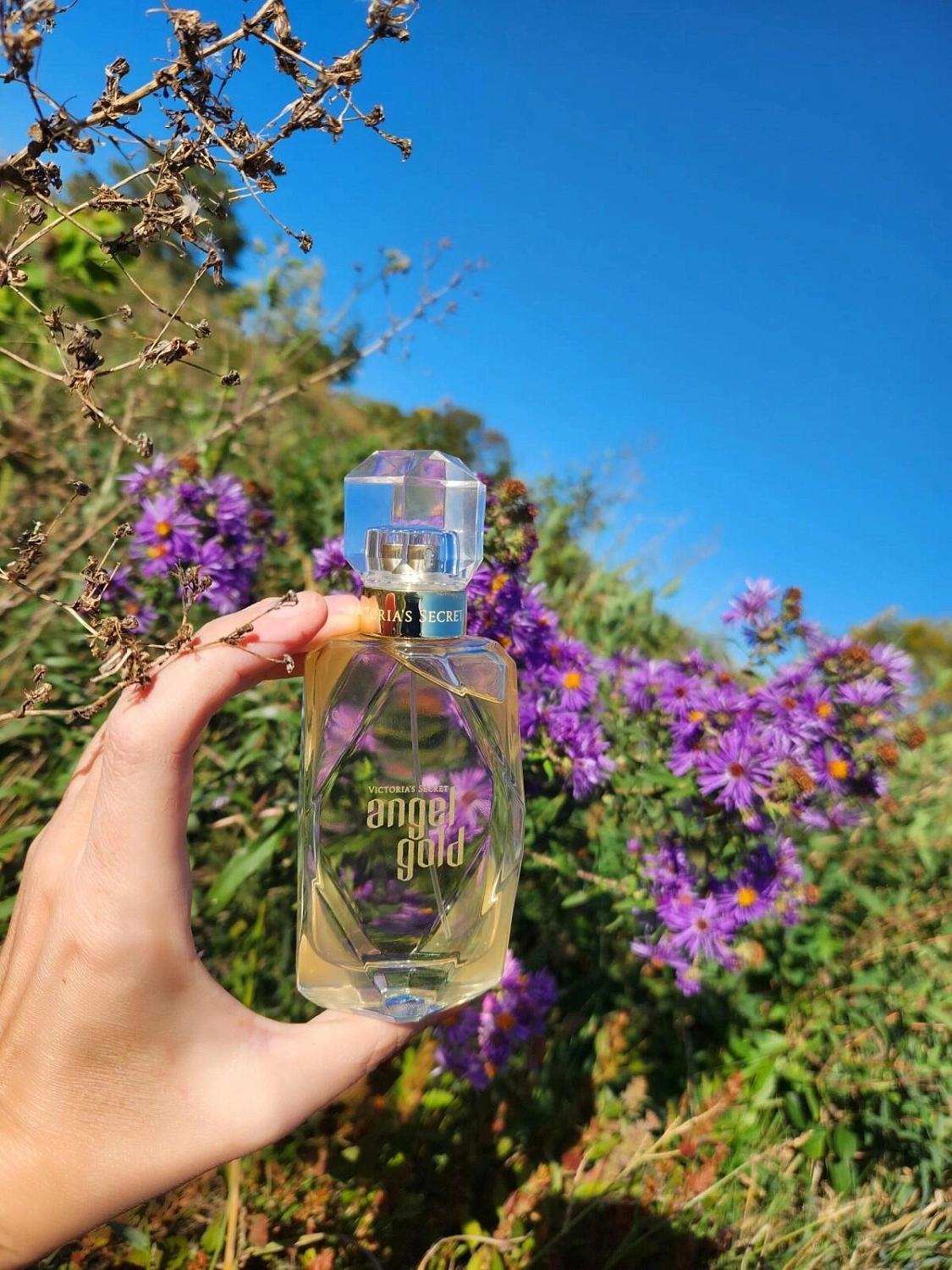 Victoria`s Secret Angel Gold