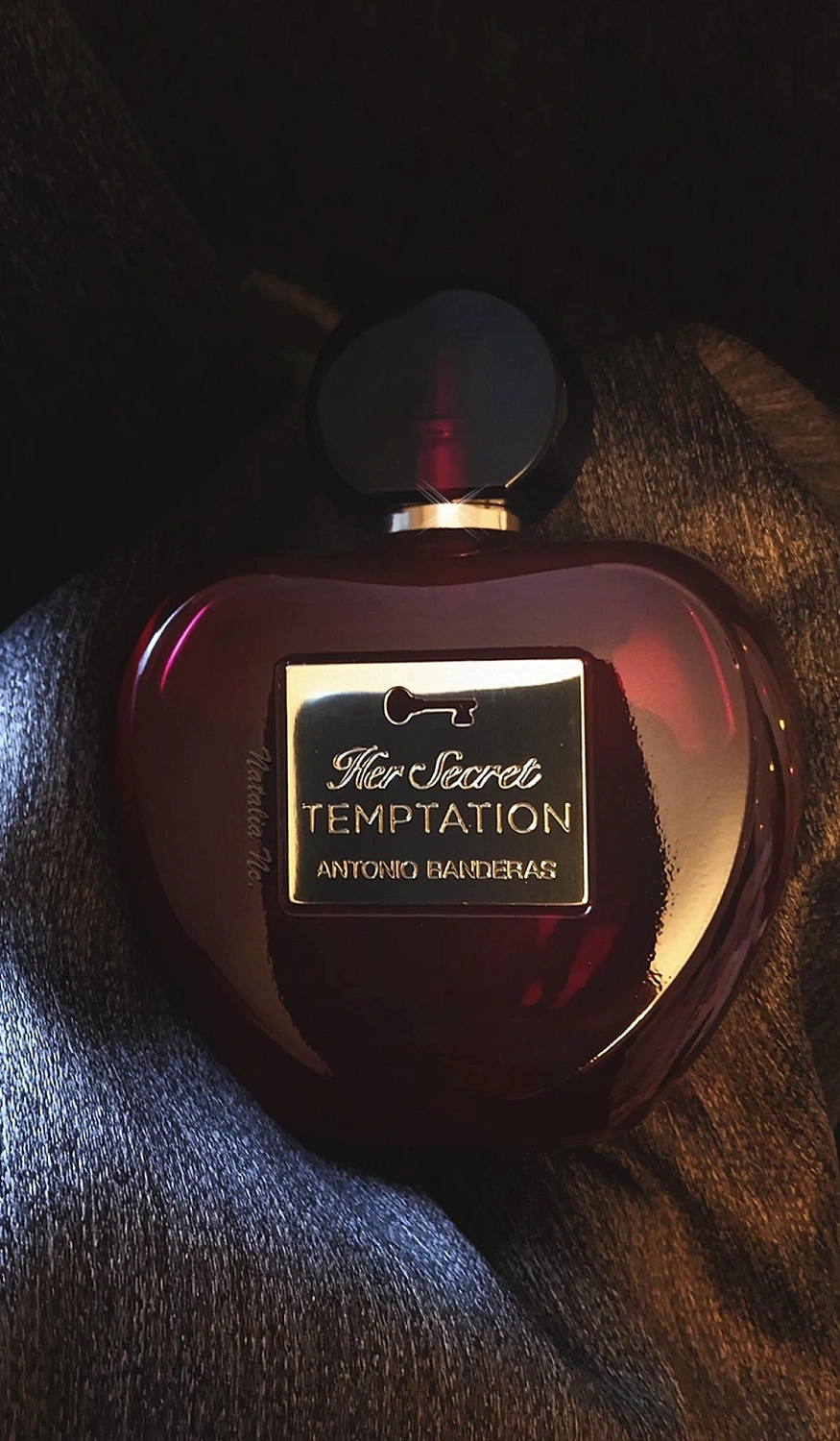 Antonio Banderas Her Secret Temptation Antonio Banderas Her Secret Temptation