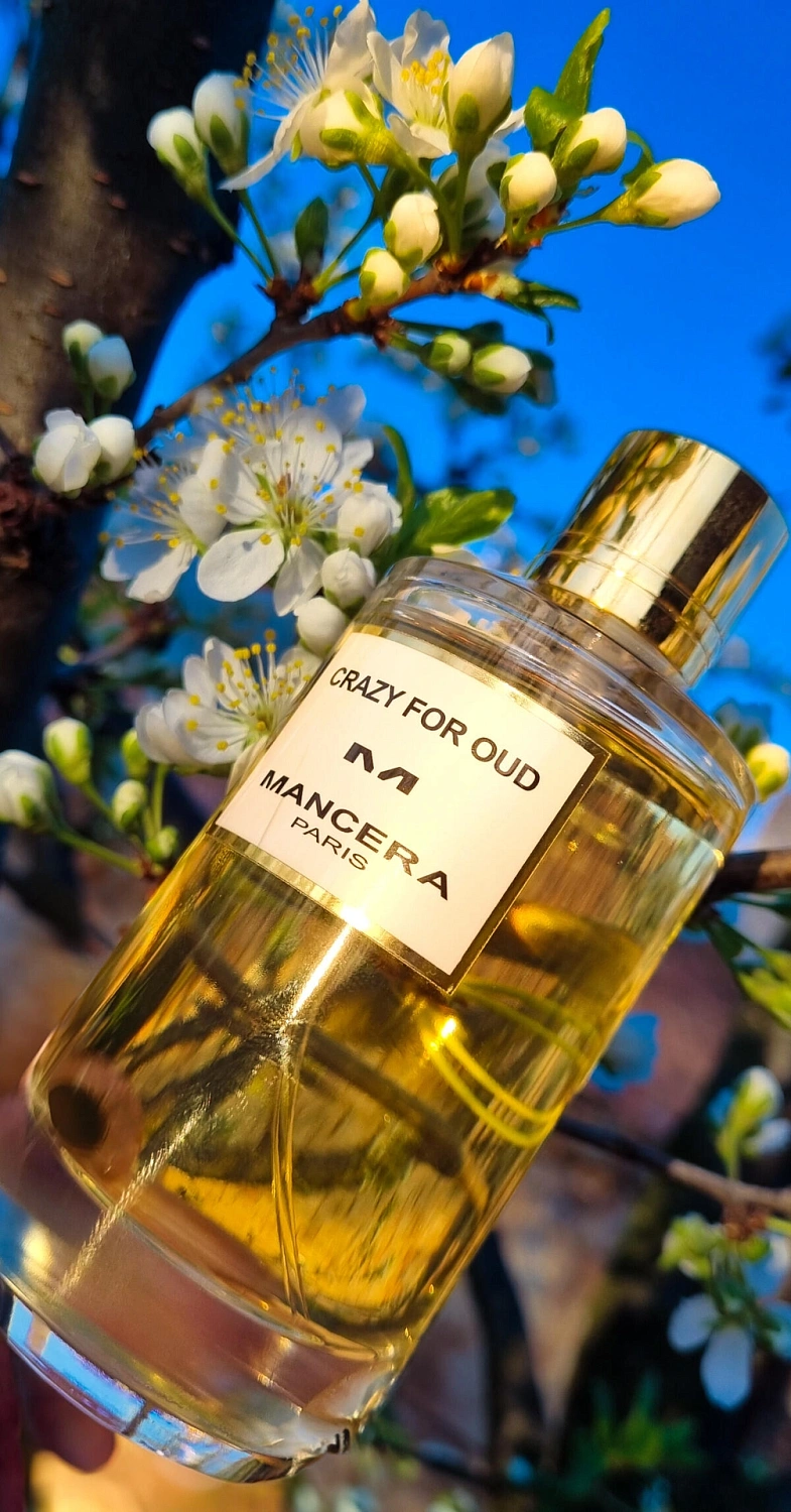 Mancera Crazy For Oud
