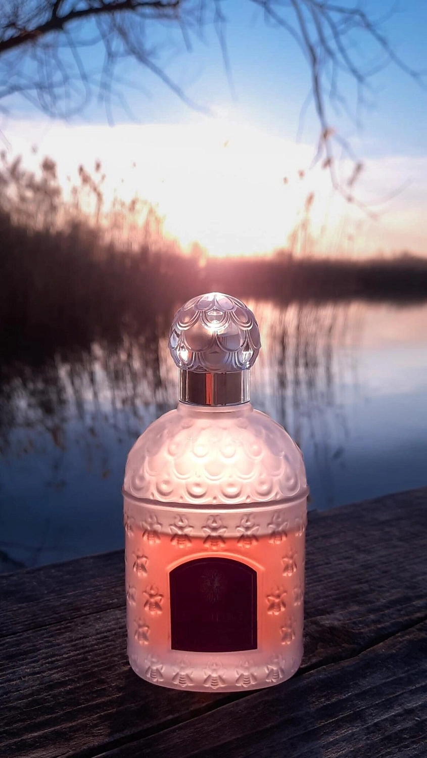 Guerlain Insolence Eau de Toilette