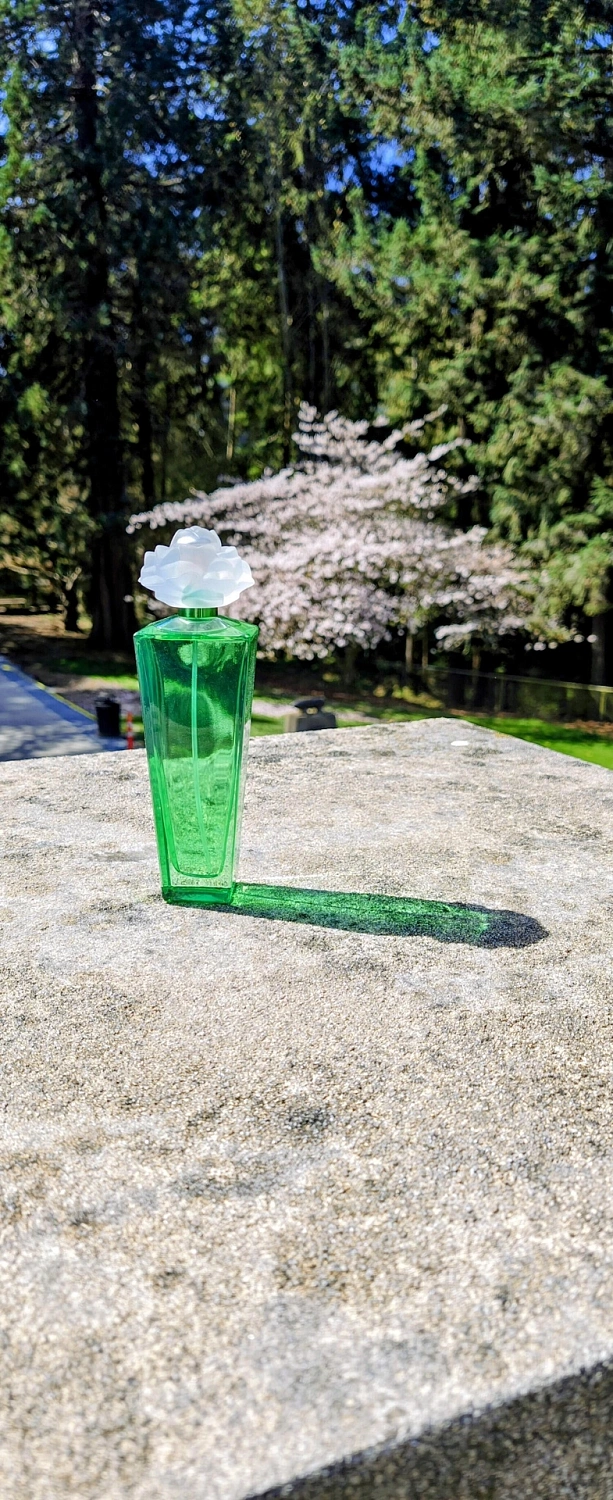 Elizabeth Taylor Gardenia