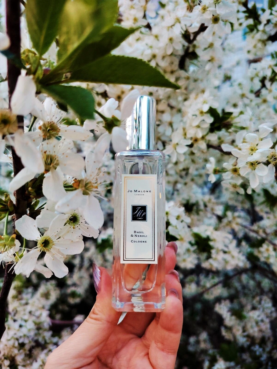 Jo Malone Basil & Neroli Jo Malone Basil & Neroli