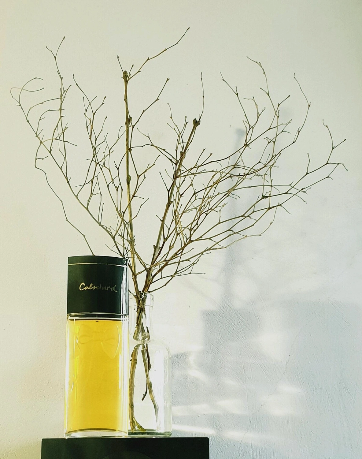 Grès Cabochard 1959