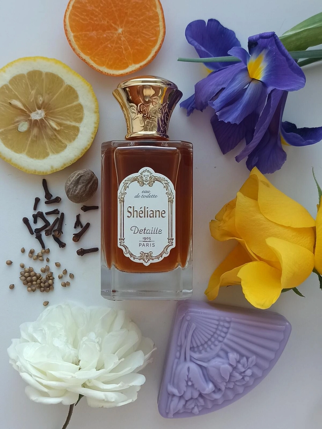 Detaille Sheliane Detaille Sheliane