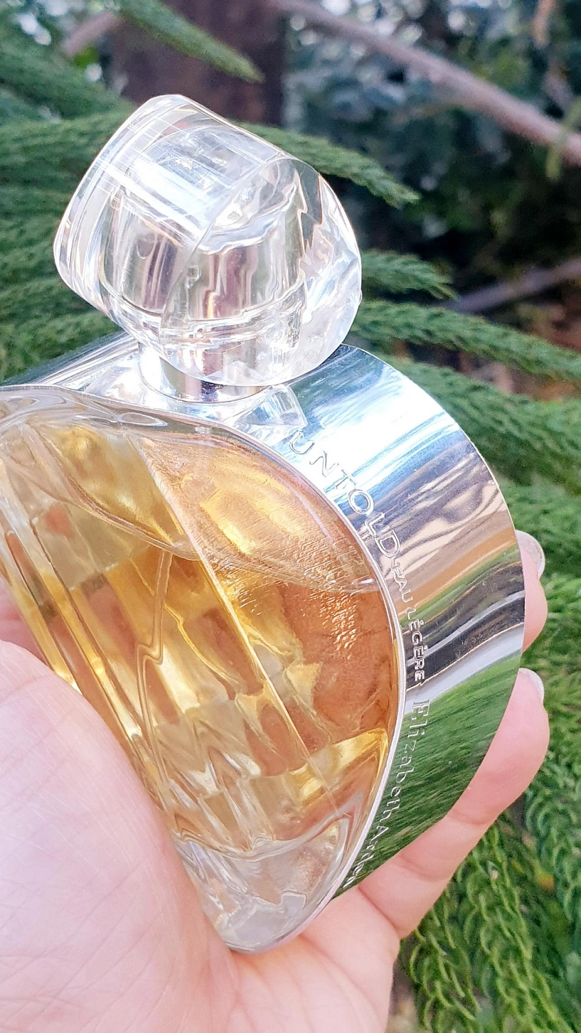 Elizabeth Arden Untold