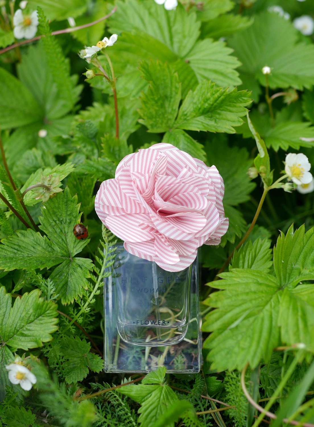 TOMMY HILFIGER Flower Rose TOMMY HILFIGER Flower Rose