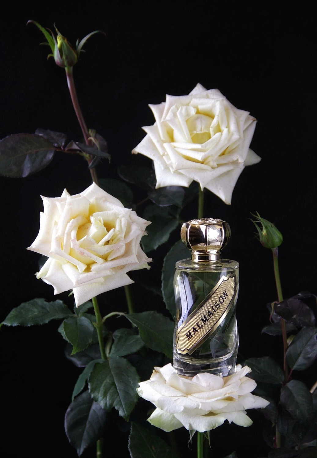 12 Parfumeurs Francais Malmaison