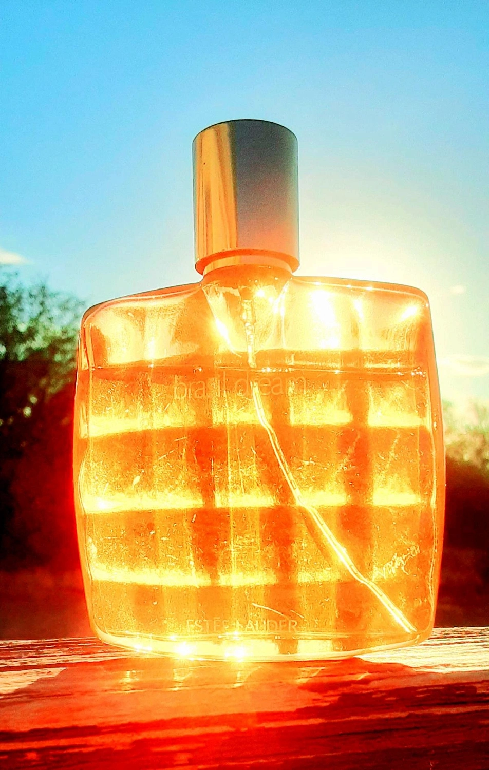 Estee Lauder Brasil Dream