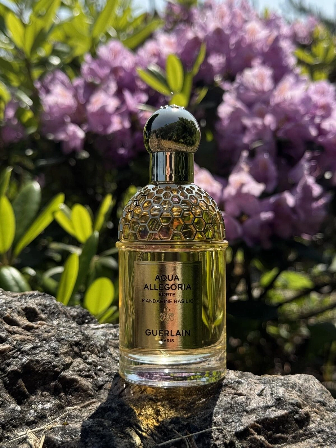 Guerlain Aqua Allegoria Forte Mandarine Basilic