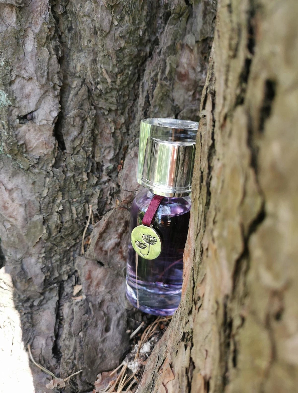 Ego facto Me Myself & I