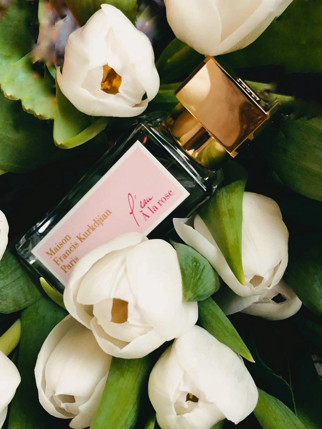 Maison Francis Kurkdjian L'eau A la Rose