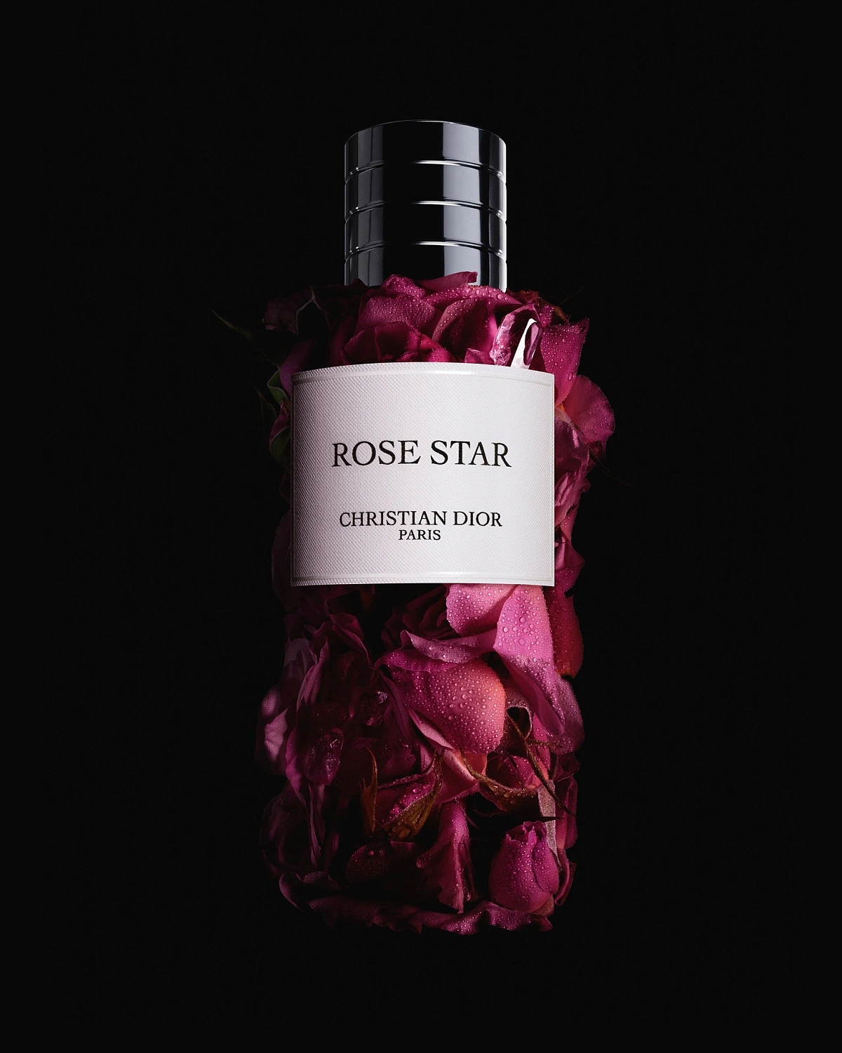 Christian Dior Rose Star Christian Dior Rose Star