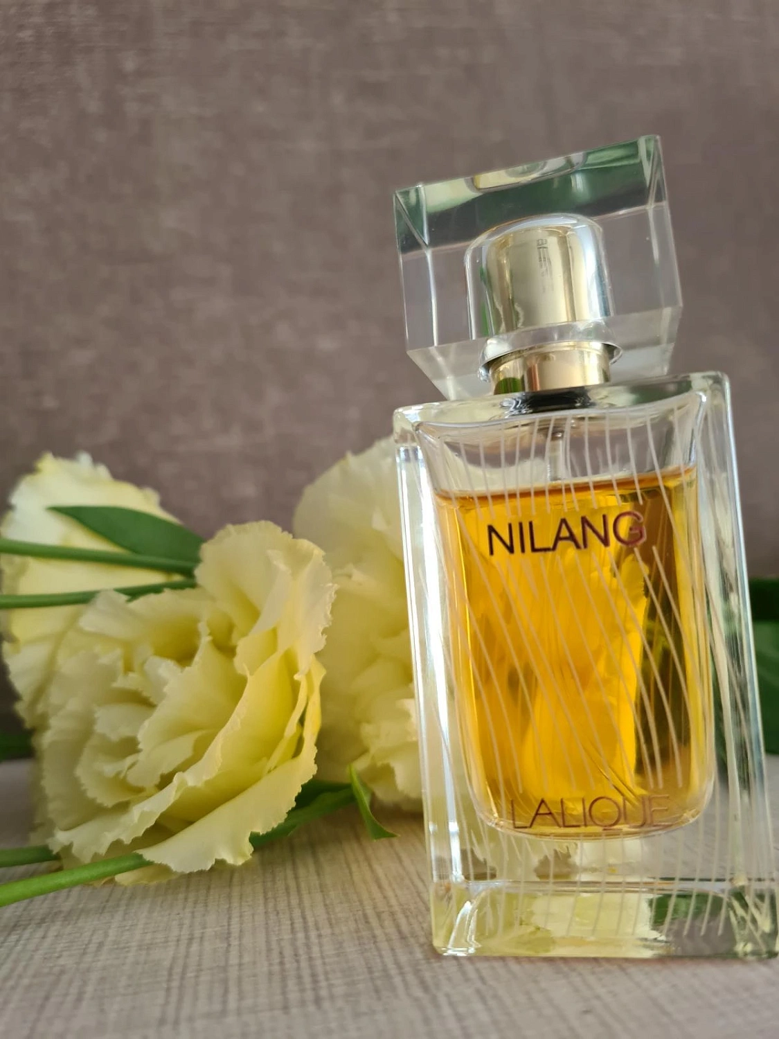 Lalique Nilang 2011 Lalique Nilang 2011
