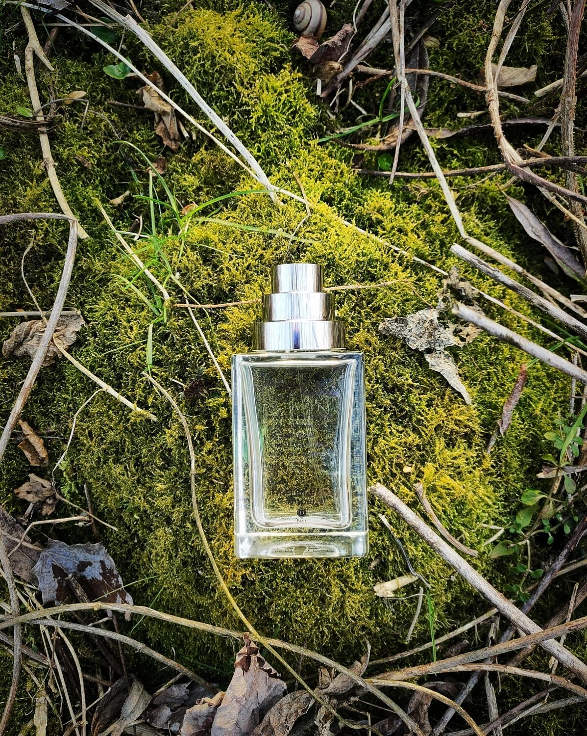 The Different Company Sublime Balkiss