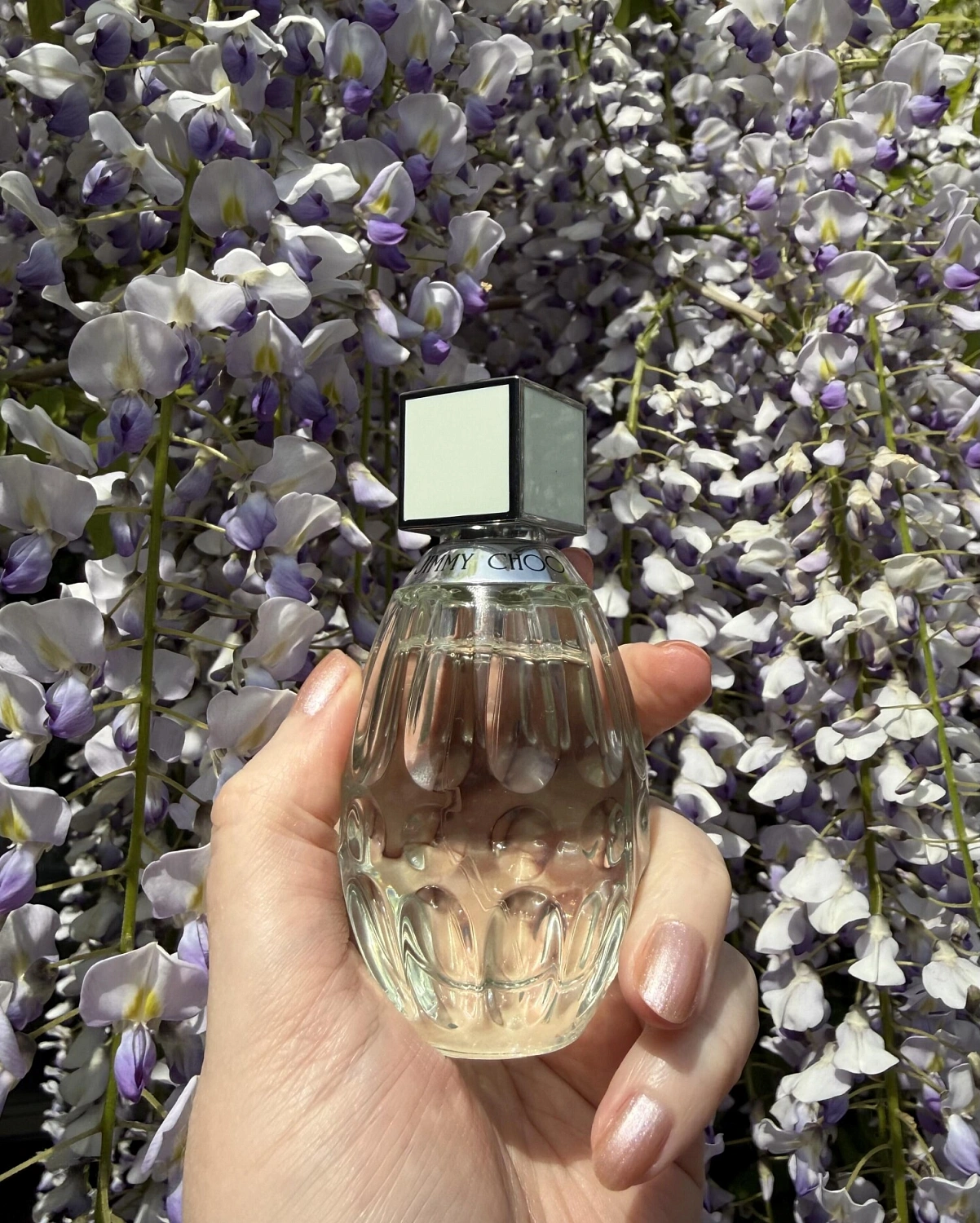 Jimmy Choo Floral