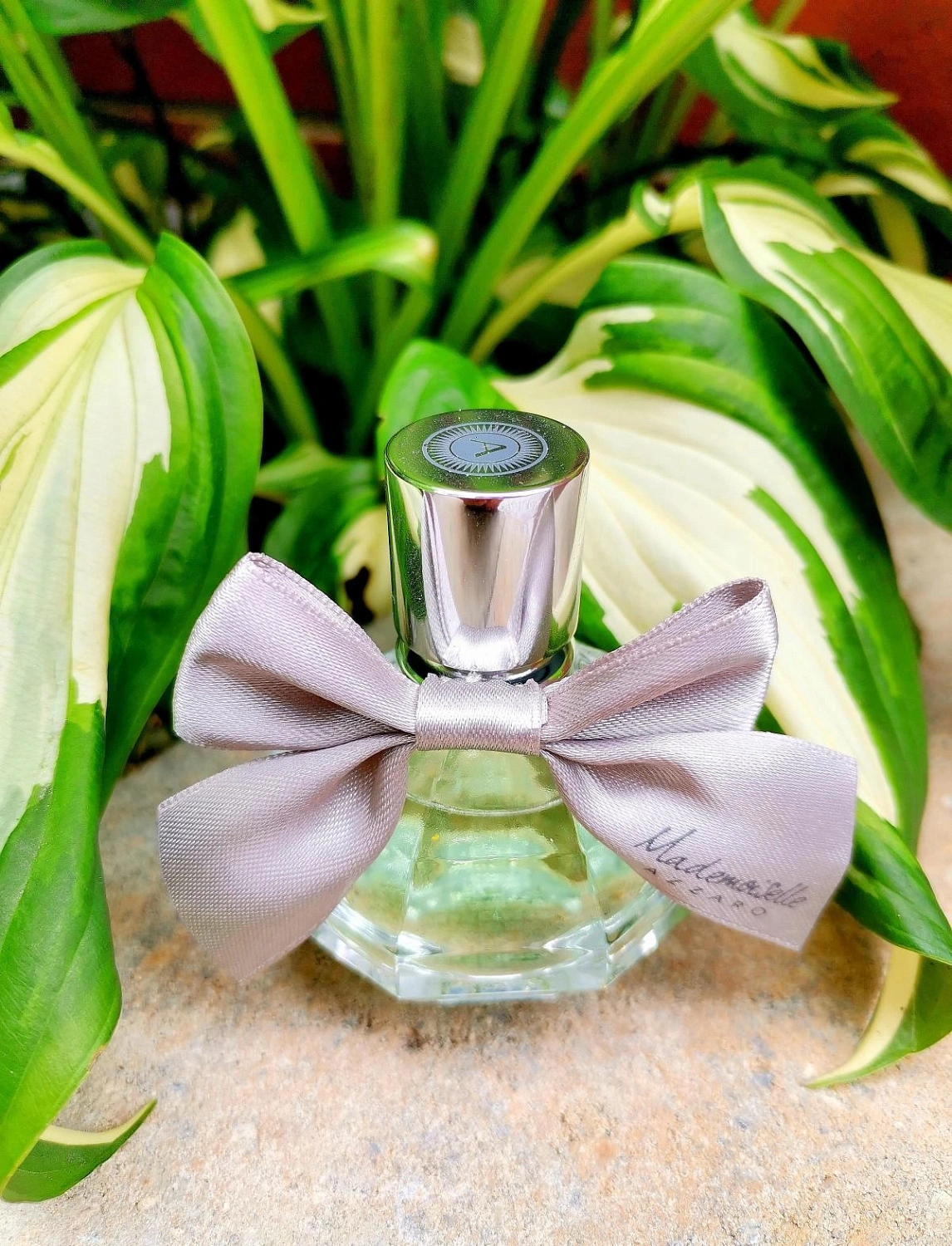 Azzaro Mademoiselle L’Eau Tres Florale