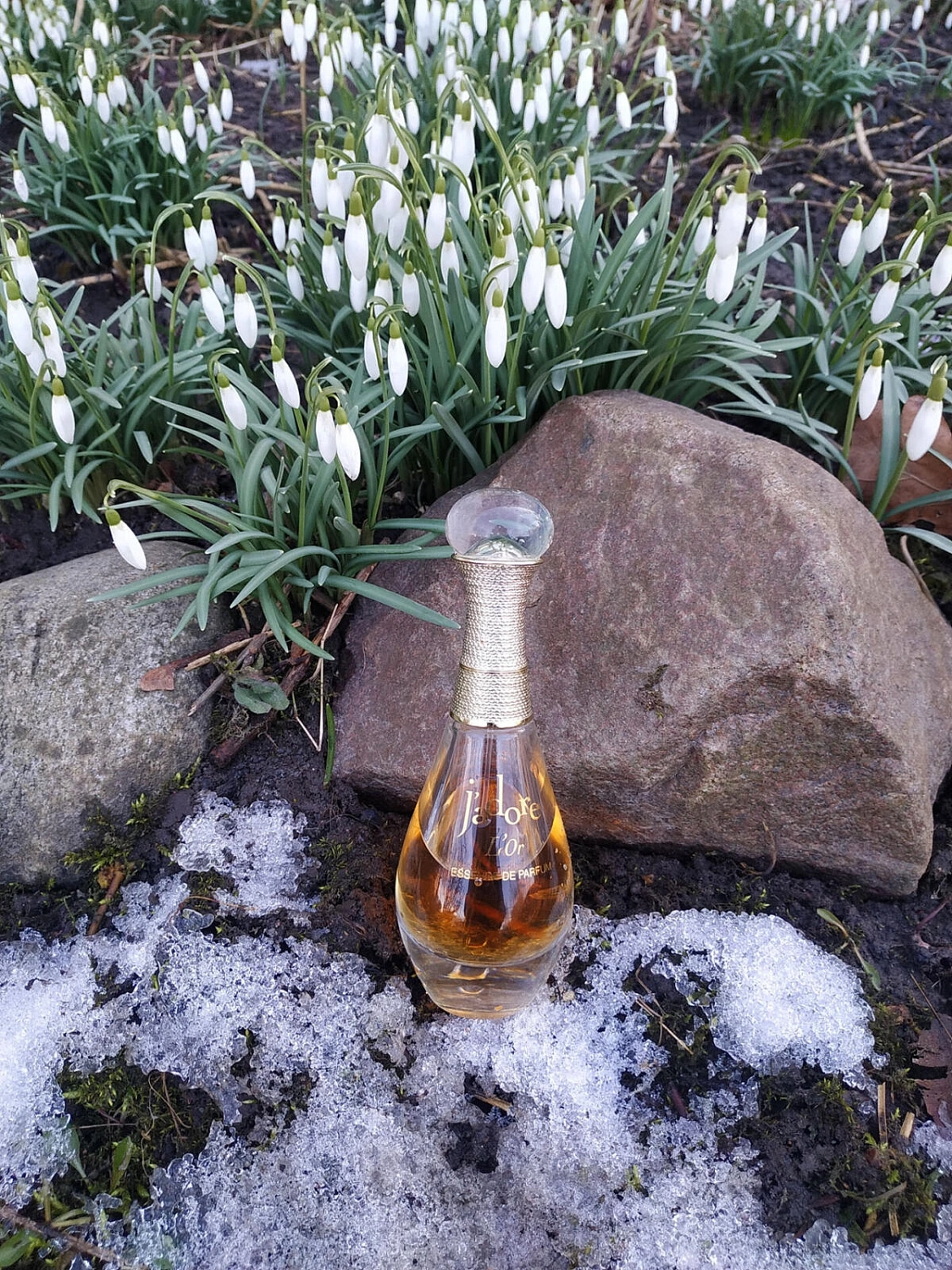 Christian Dior J’Adore L’Or