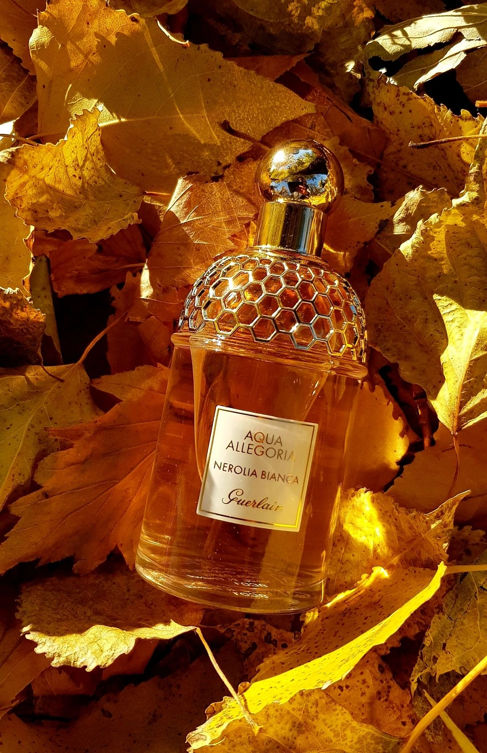 Guerlain Aqua Allegoria Nerolia Bianca
