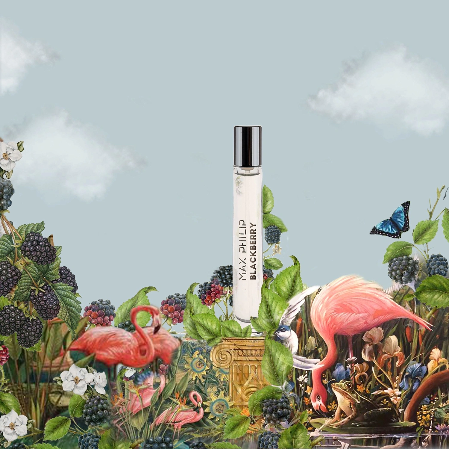 Max Philip Blackberry