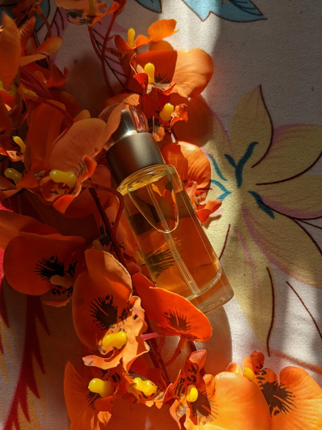 Perry Ellis 360 Grad Woman