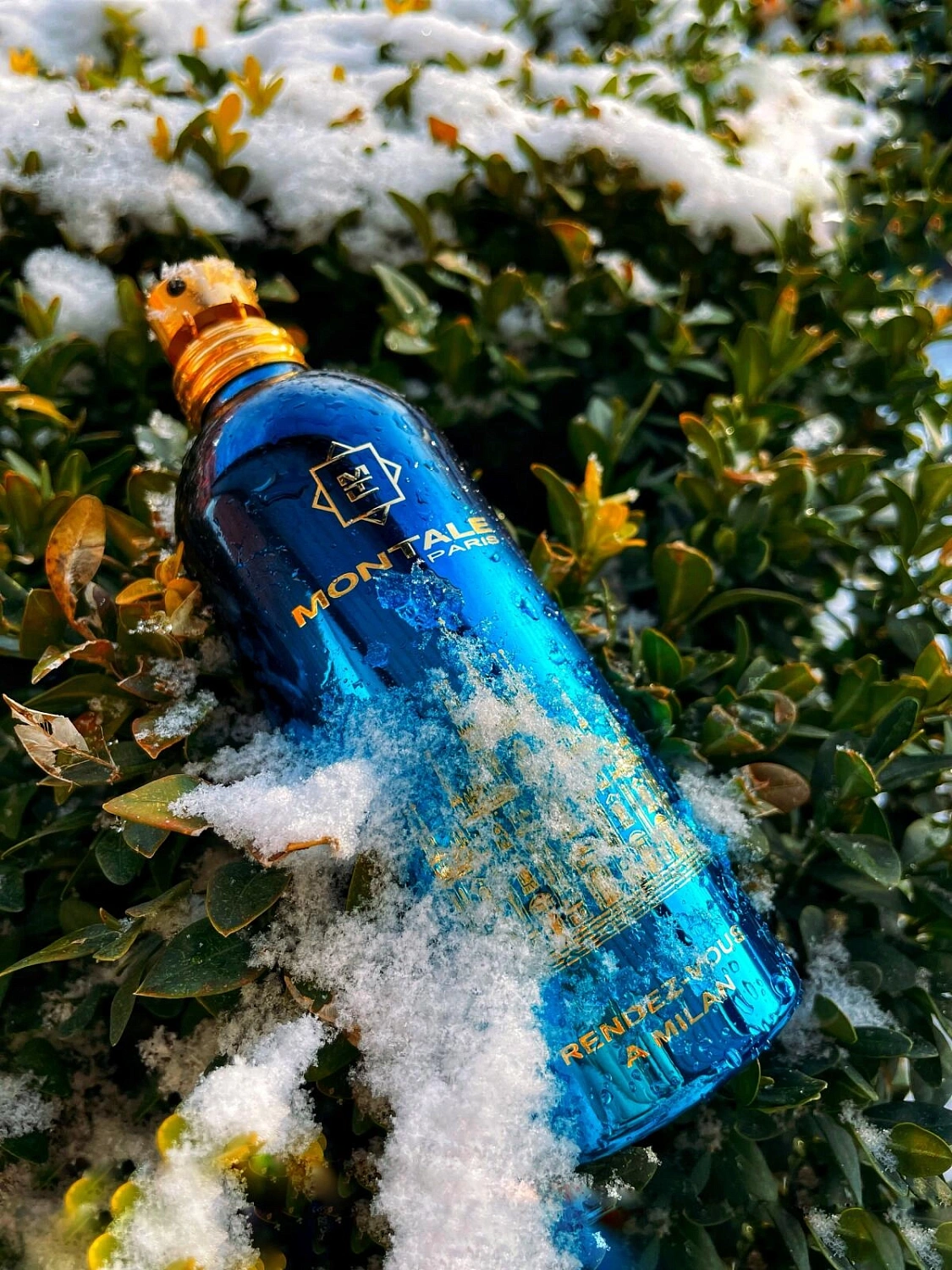 MONTALE Rendez-vous a Milan