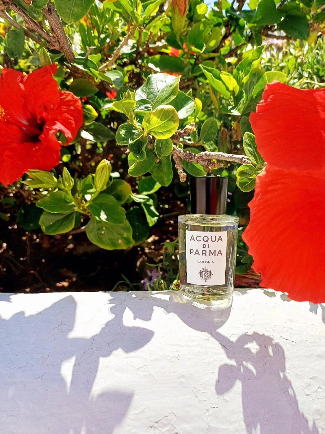 Acqua di Parma Colonia