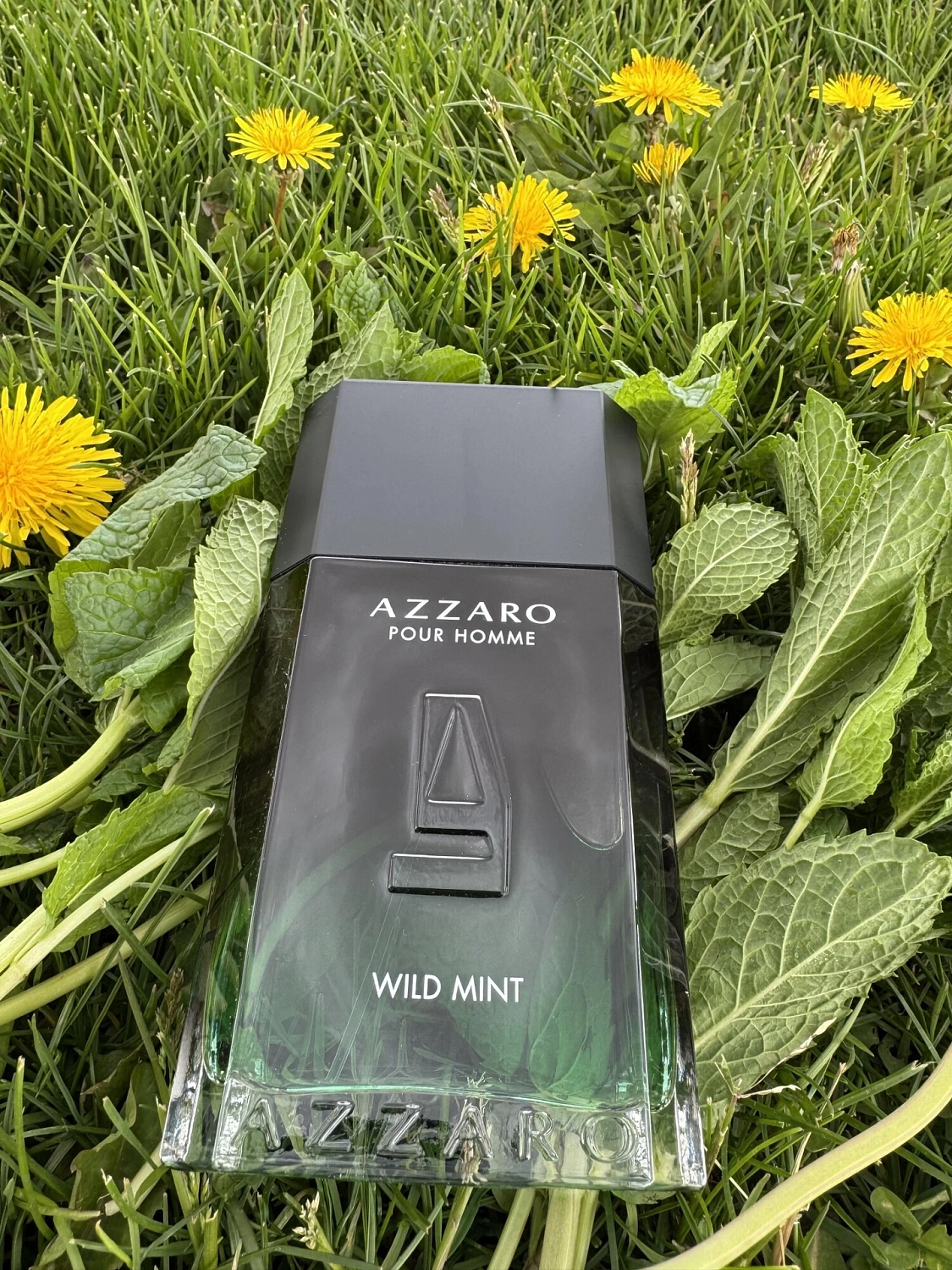 Azzaro Pour Homme Wild Mint