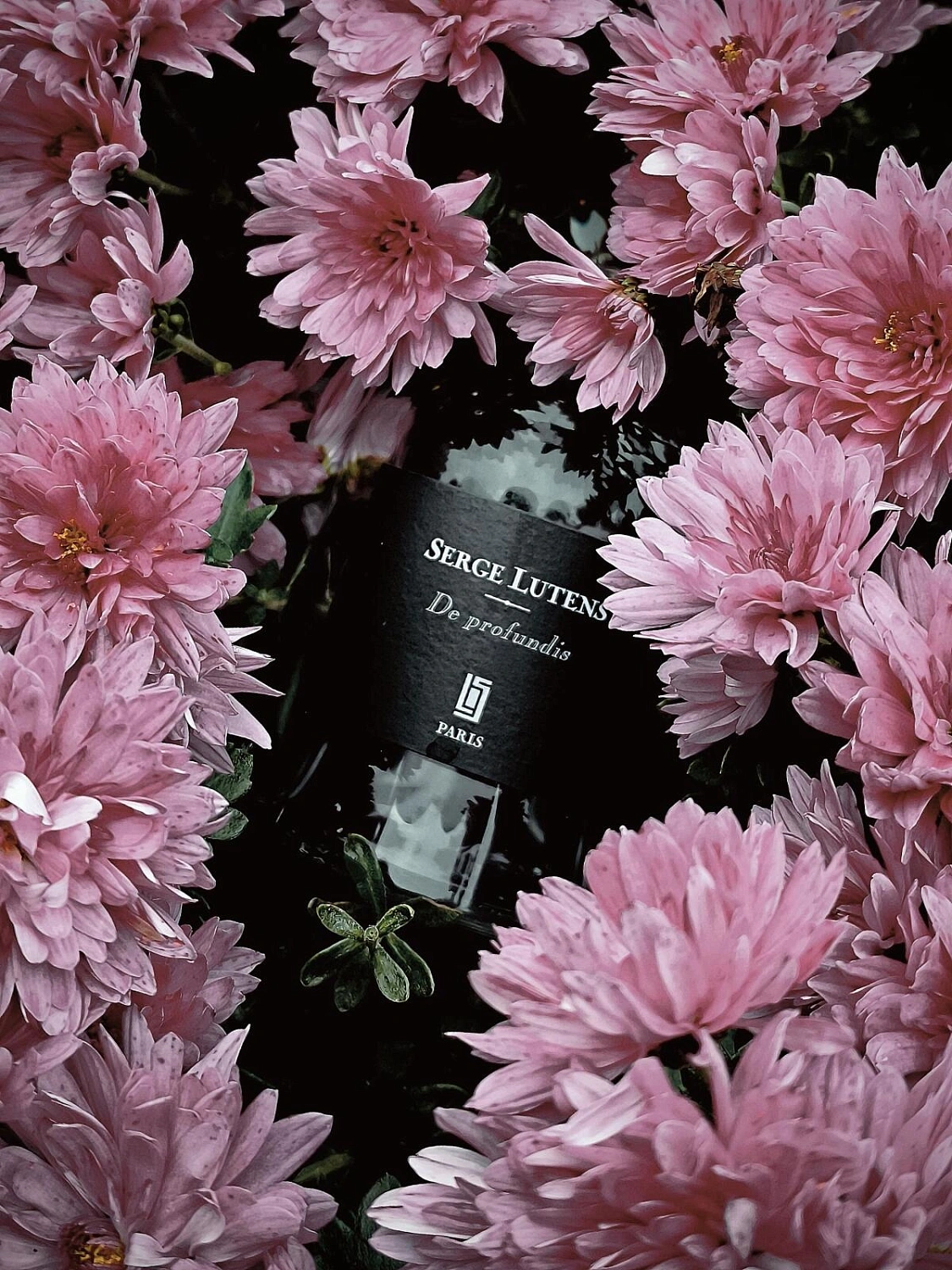 Serge Lutens De Profundis