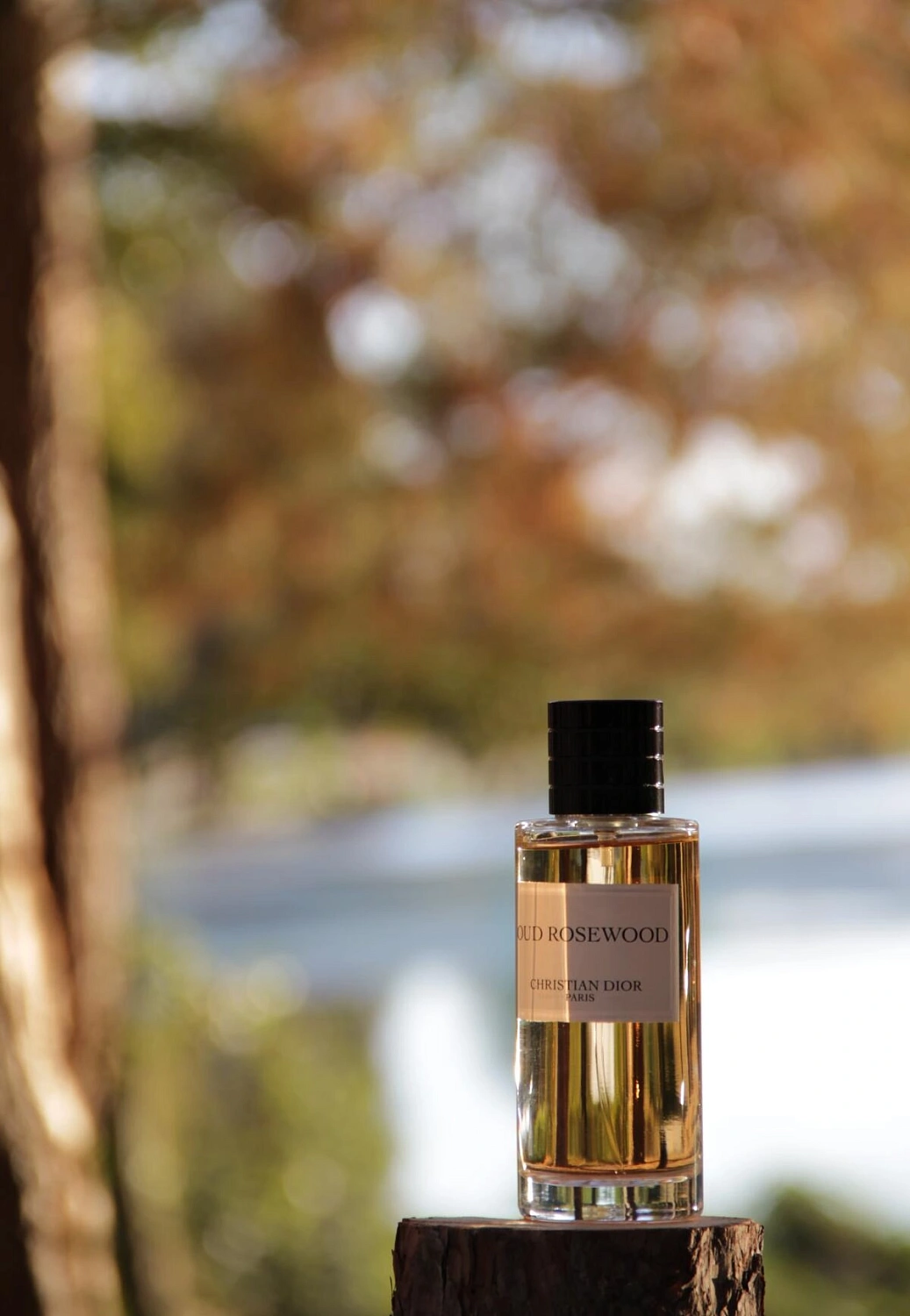 Christian Dior Oud Rosewood