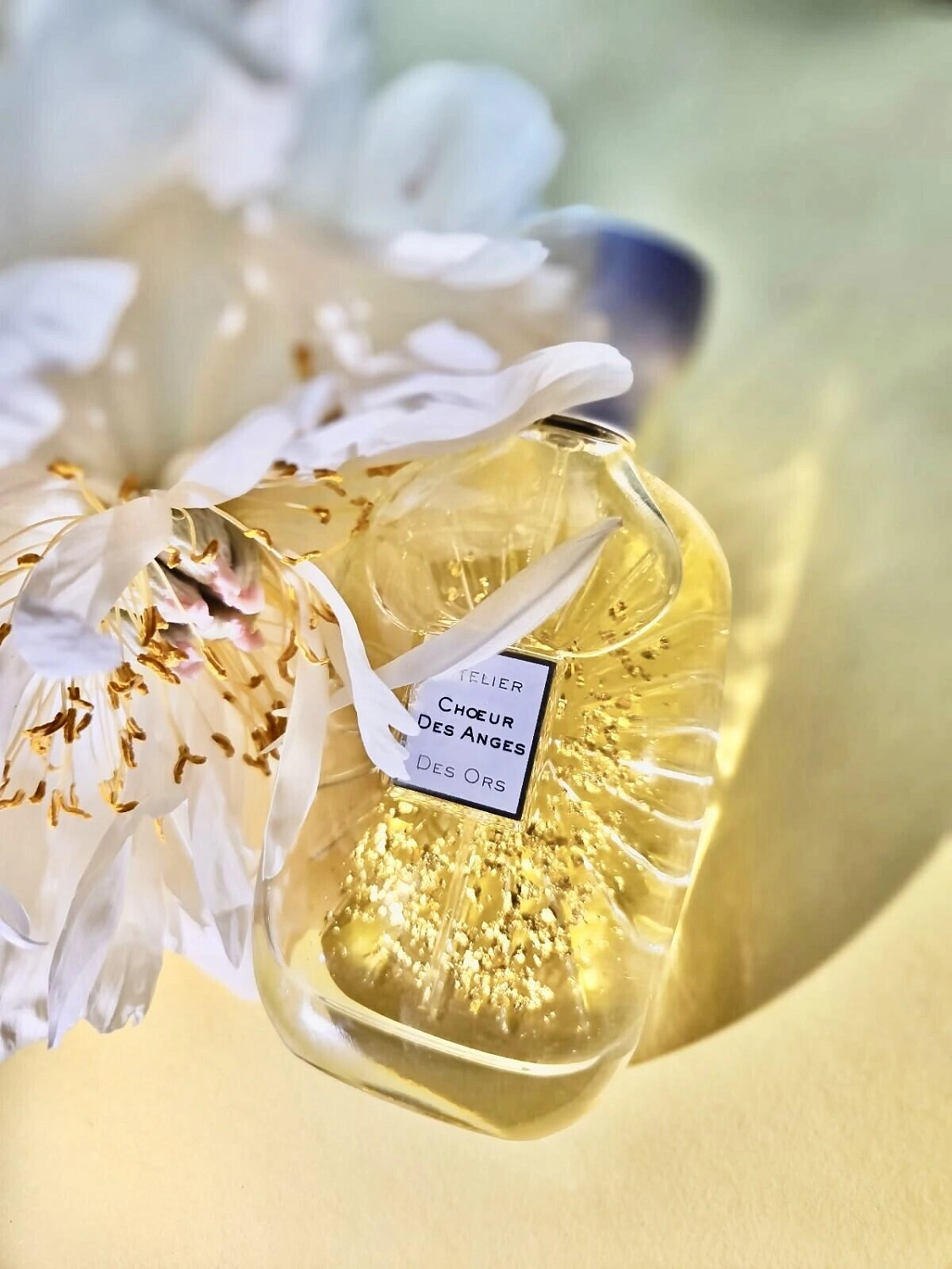 Atelier des Ors Choeur Des Anges