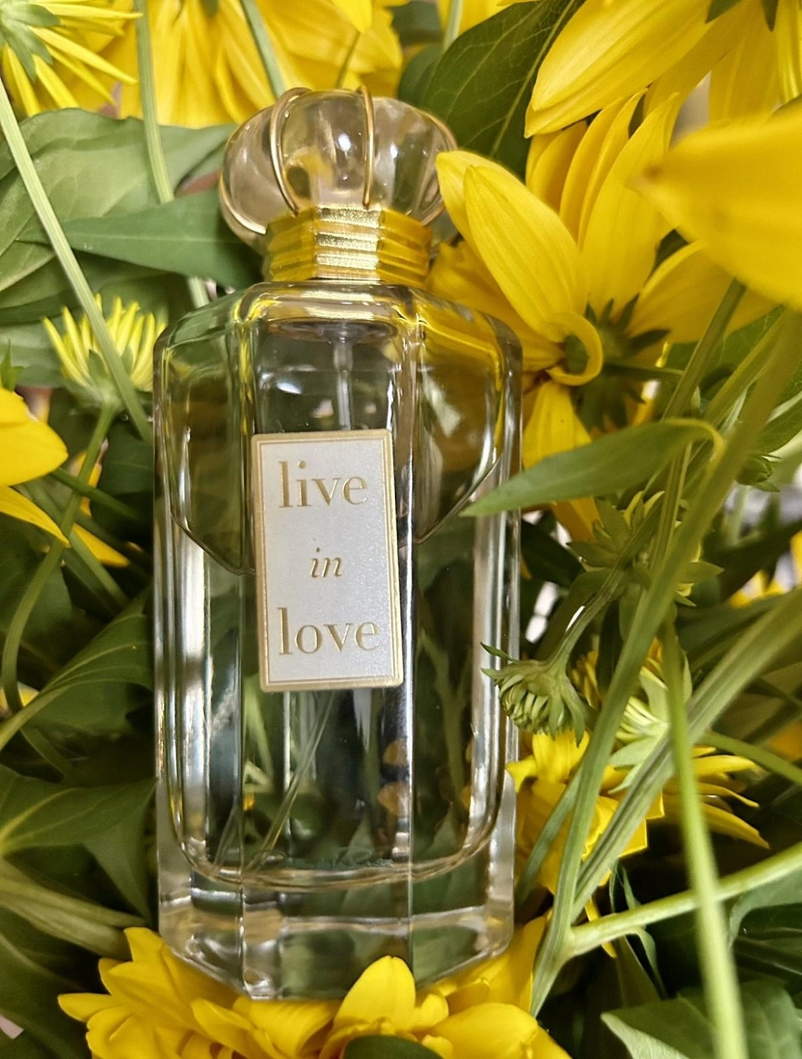 Oscar de la Renta Live in Love