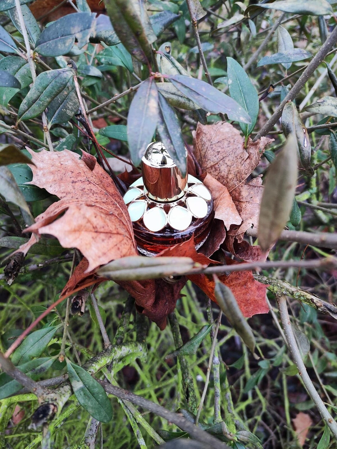 Elie Saab Girl Of Now Lovely