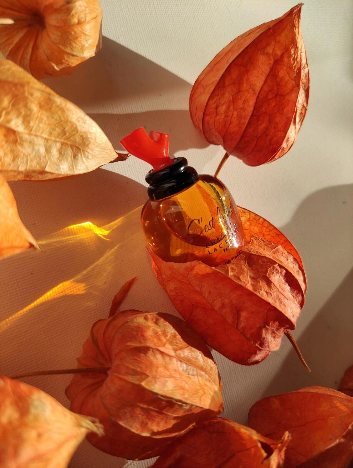 Christian Lacroix C`est La Vie